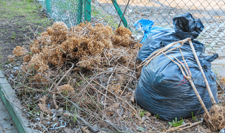Yard Debris Removal